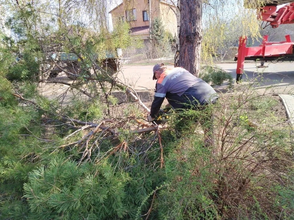 Весна — это время обновления, чистоты и гармонии. Когда вокруг чисто и ухоженно, и на душе становитс