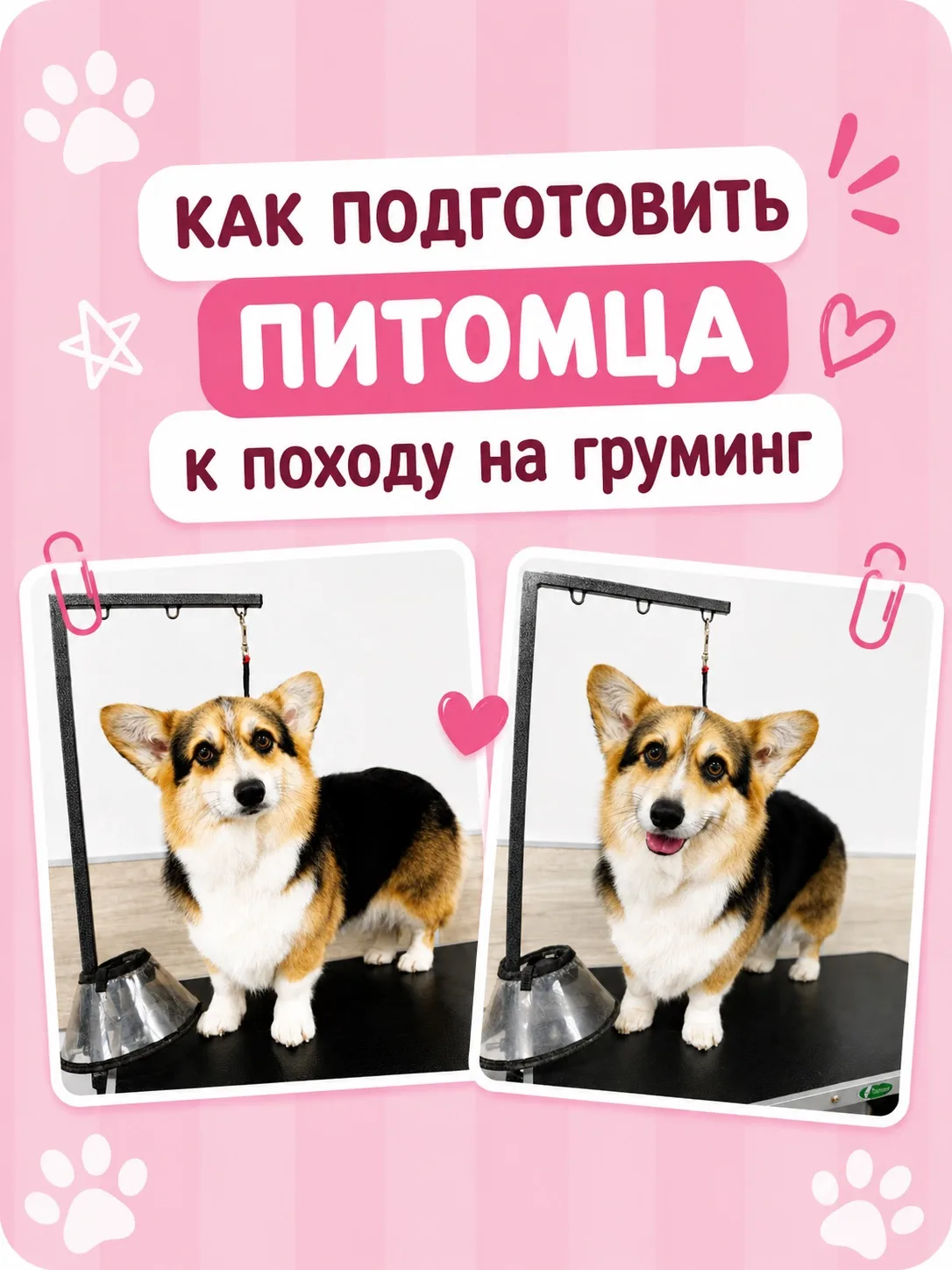 ПЕРВЫЙ ВИЗИТ. ЧТО ДЕЛАТЬ?