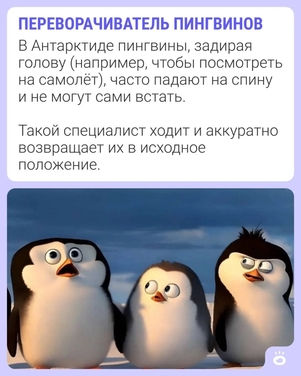 «Всё бесит, увольняюсь и становлюсь профессиональным согревателем кроватей!» — мысли ад...