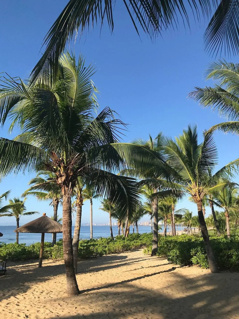 Снижены цены на Китай 🇨🇳 о.Хайнань🌴