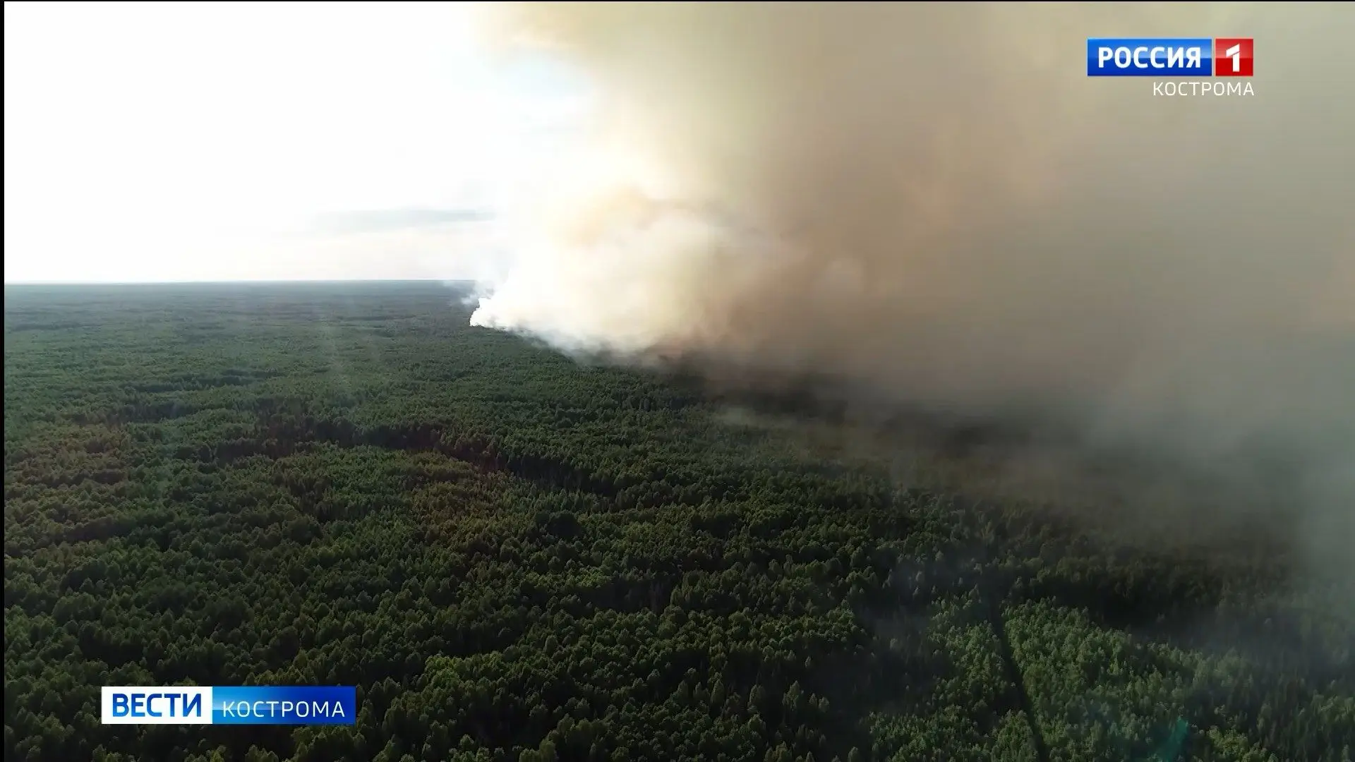 Лесной пожар обнаружен в Нейском районе