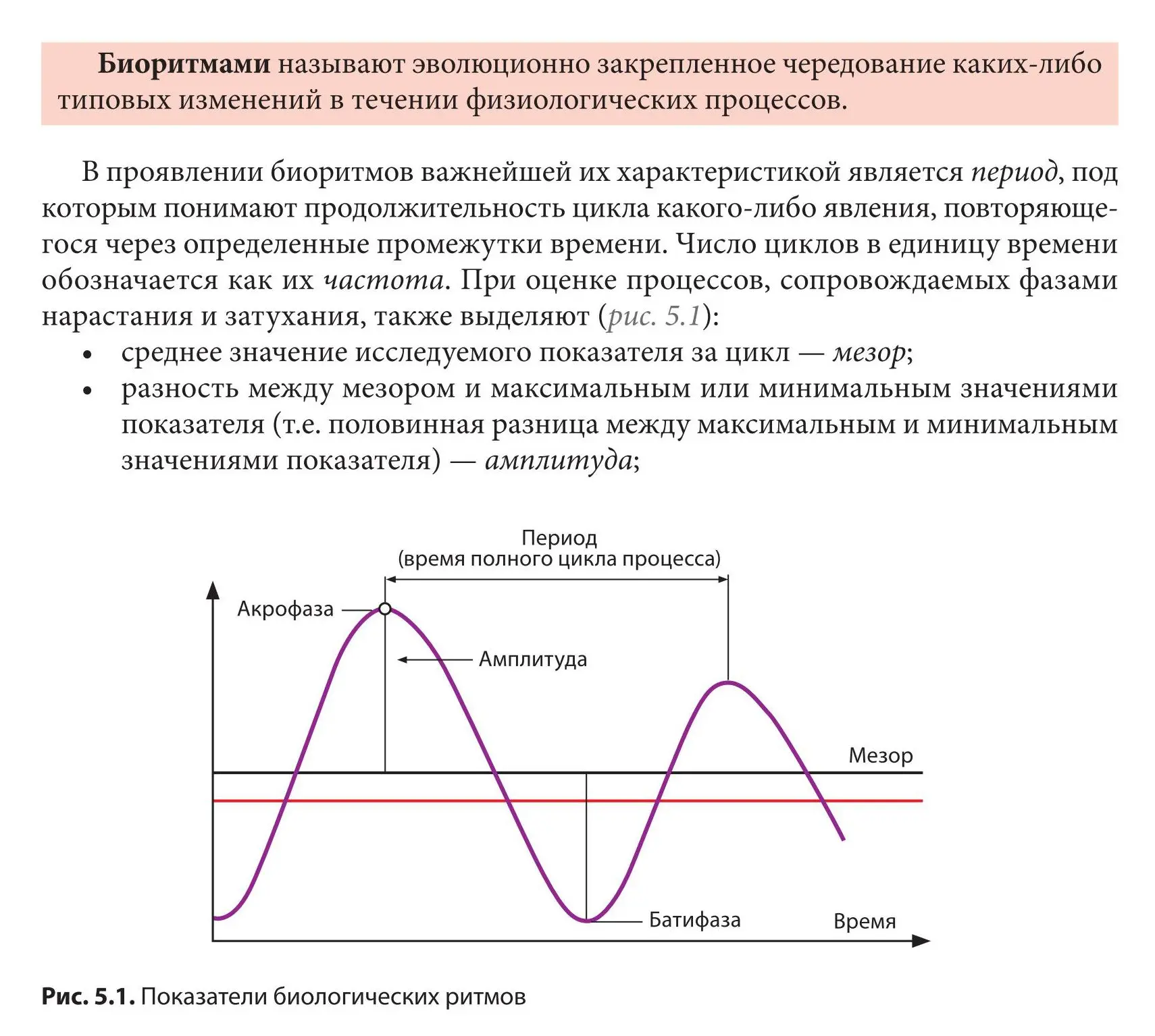 Биоритмы