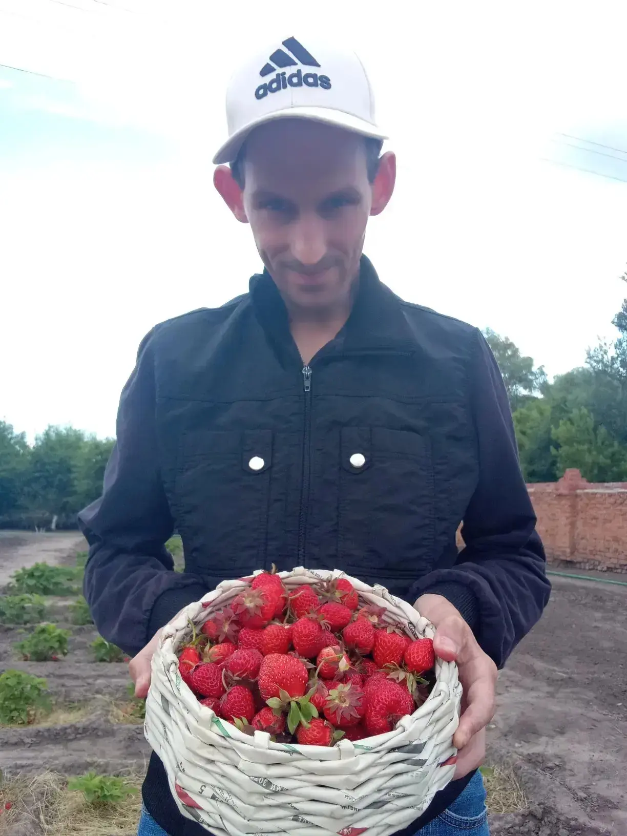 ☀С приходом лета, в нашем доме наступила сладкая пора — сезон клубники.