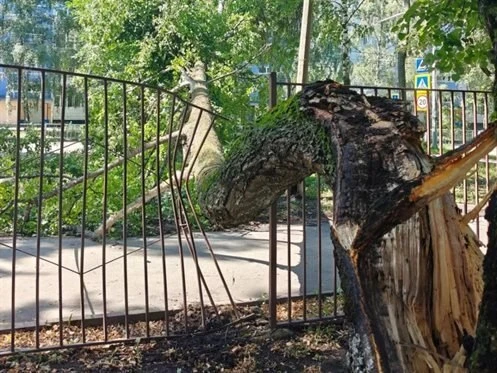 В Ульяновске убирают рухнувшие деревья и ждут новый ураган

Коммунальным службам работы в эти дни пр