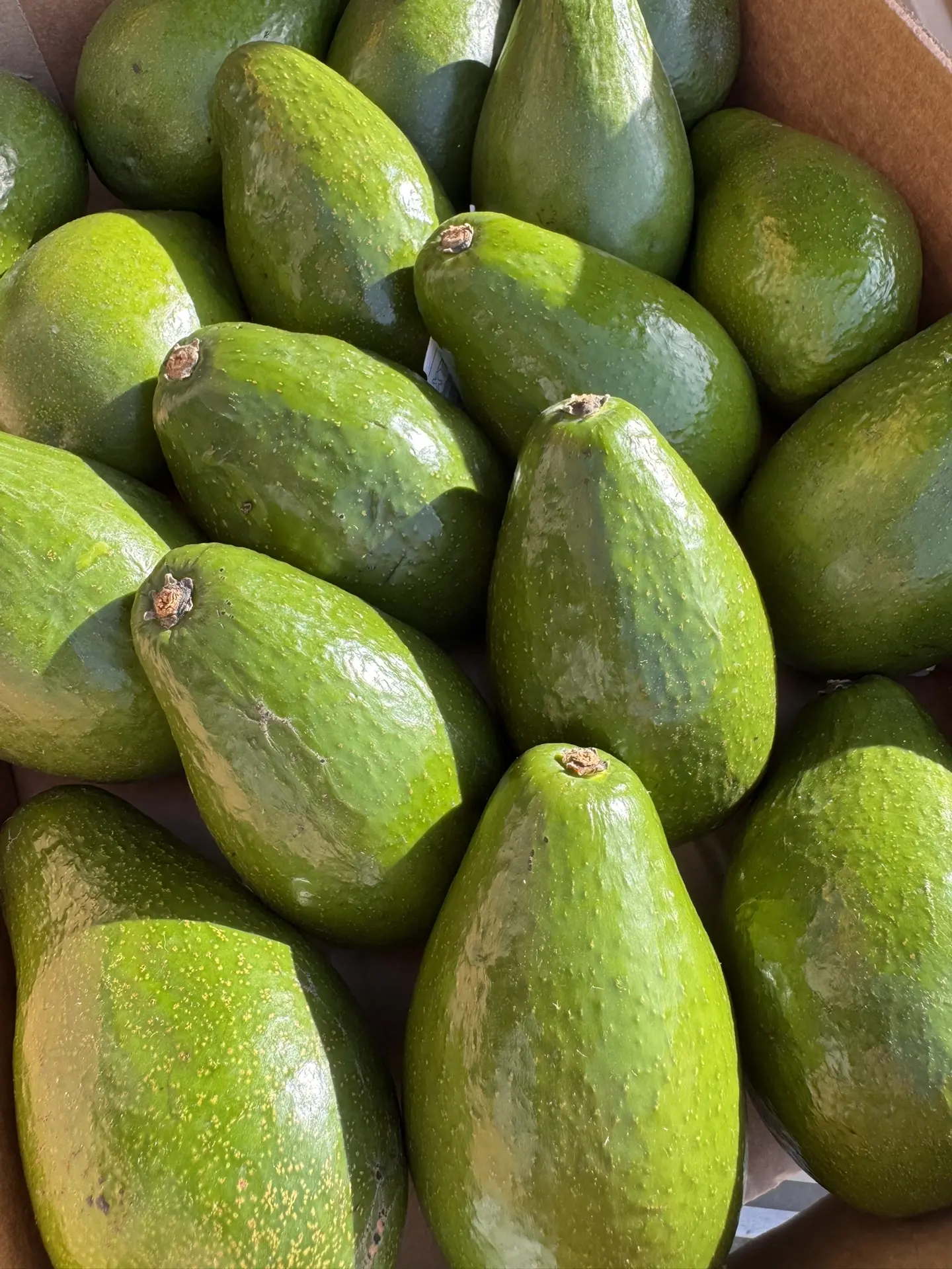 Авокадо Перу 🥑