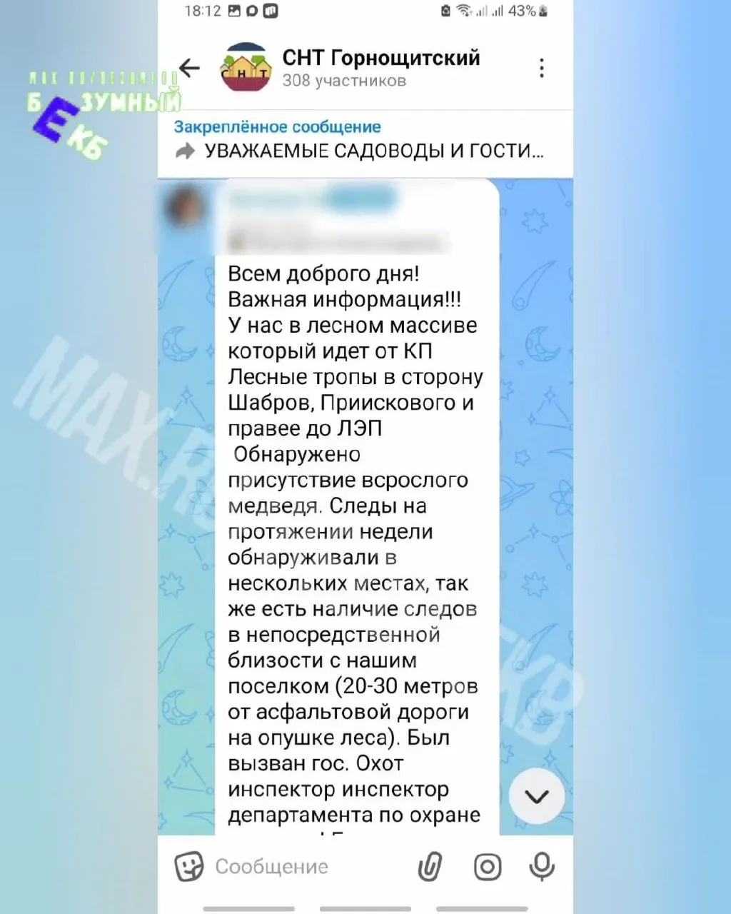 Медведь замечен в окрестностях Горного Щита.