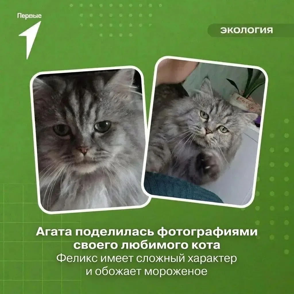 🐈‍⬛ Забота о животных - это первый серьёзный урок взрослой жизни. И наши юннаты проход...