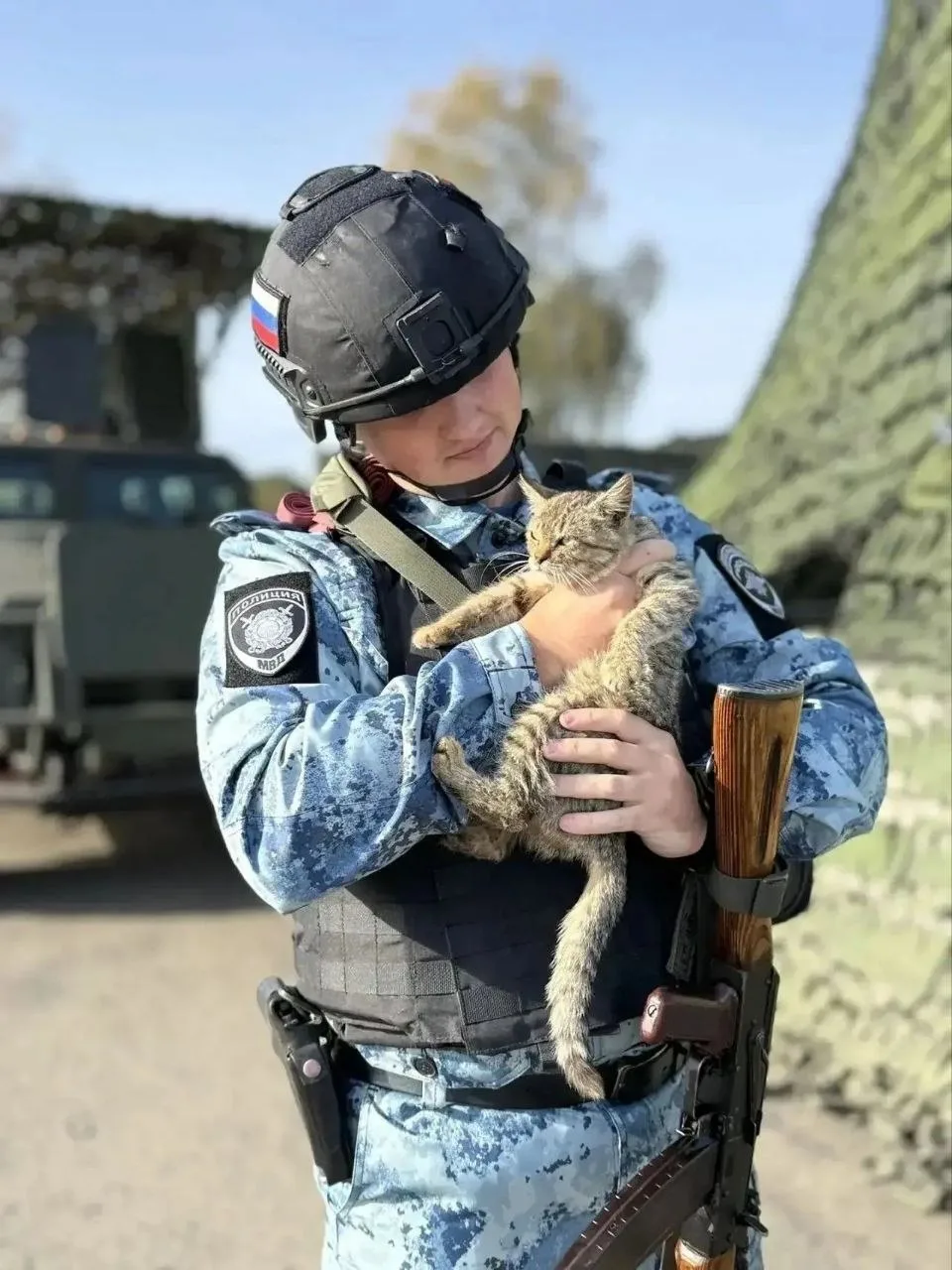 Кот Тигр стал напарником курских полицейских. Котёнок сам пришёл к посту полиции в Курс...