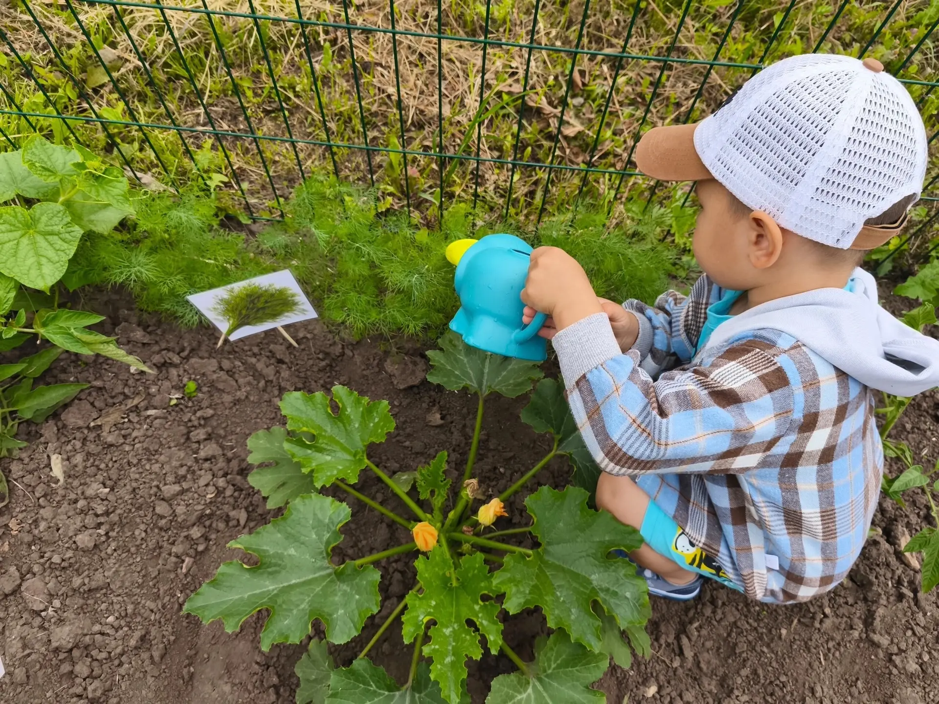 🌱Маленькие ручки, большое дело! Наши малыши сегодня поливали огород. 💦

🌱Для ребёнка это не прост