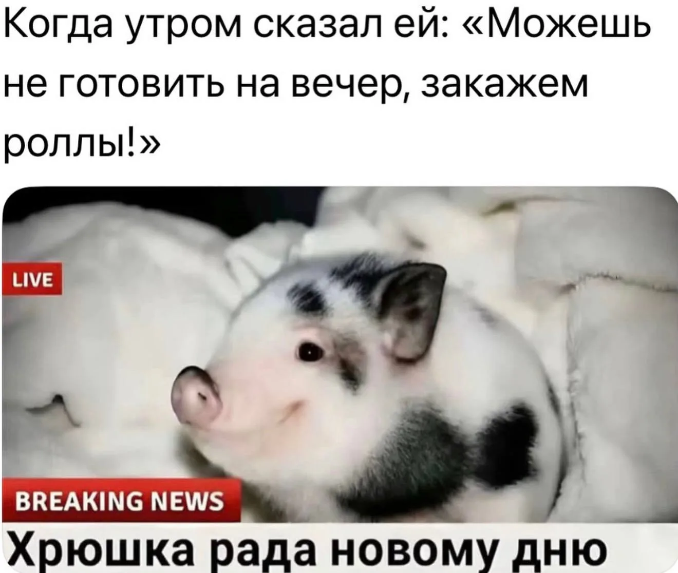 Доброе утро, котики!