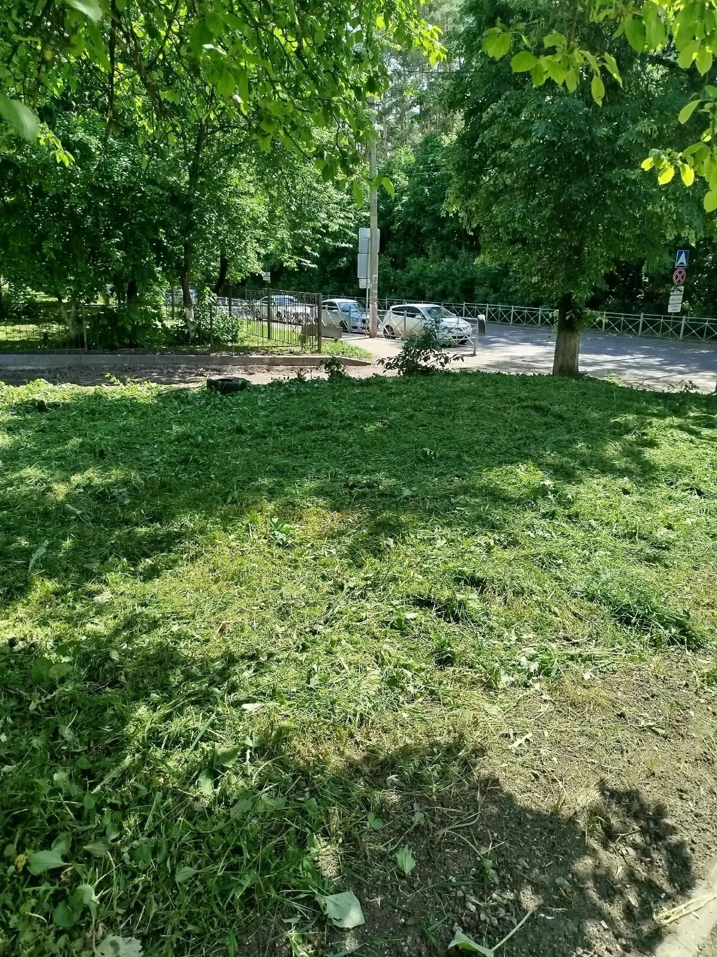 🌿 Во дворах продолжается покос травы.