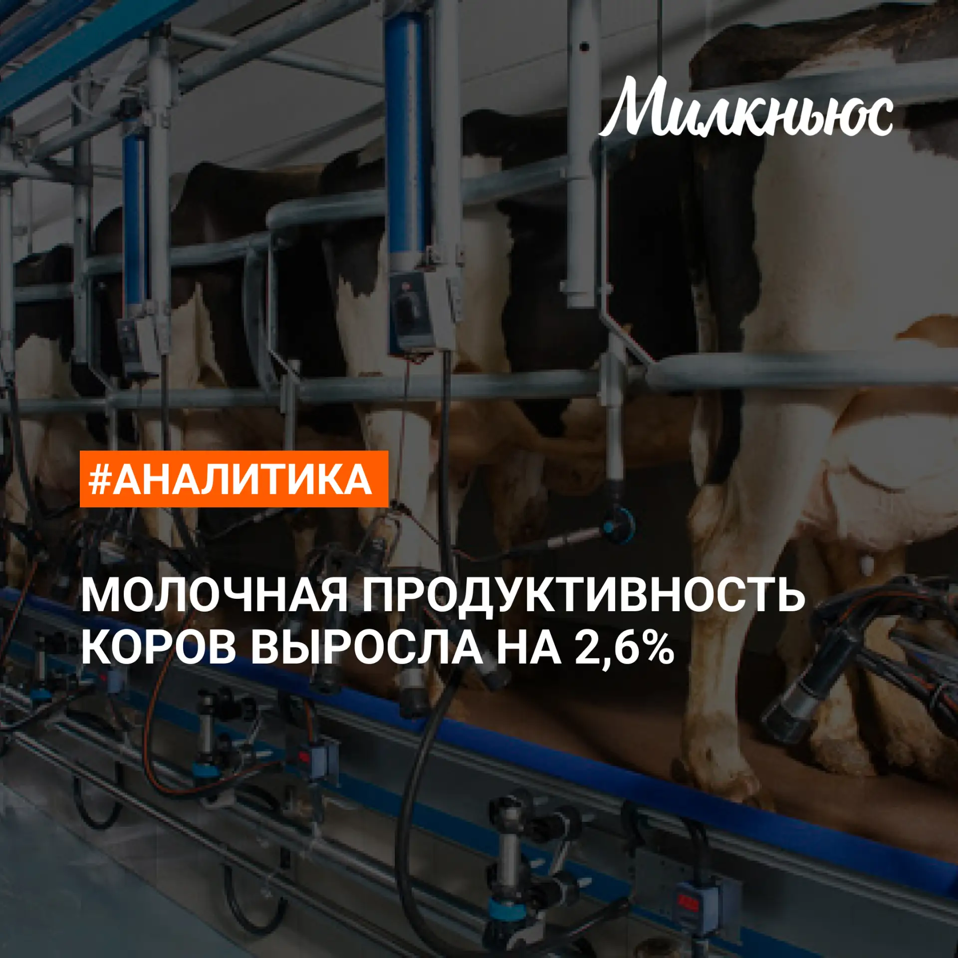 ⚡️ Надои молока на одну корову в сельхозорганизациях выросли до 3213 кг в январе-апреле 2026 года по