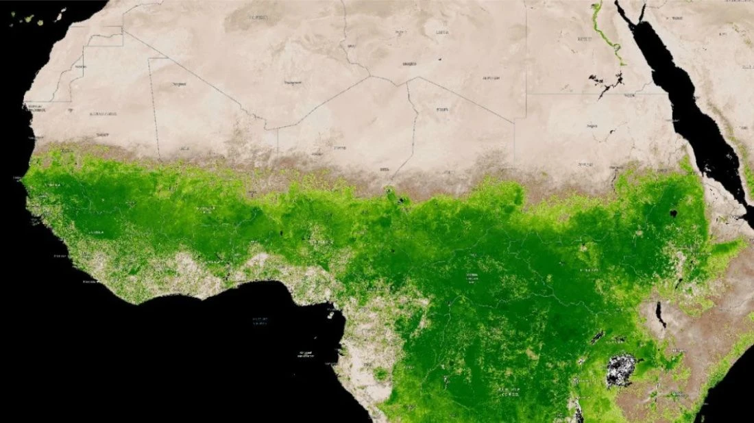 Африка стала более зелёной, а площадь пустыни Сахара при этом уменьшается год от года. С 1980-х годо