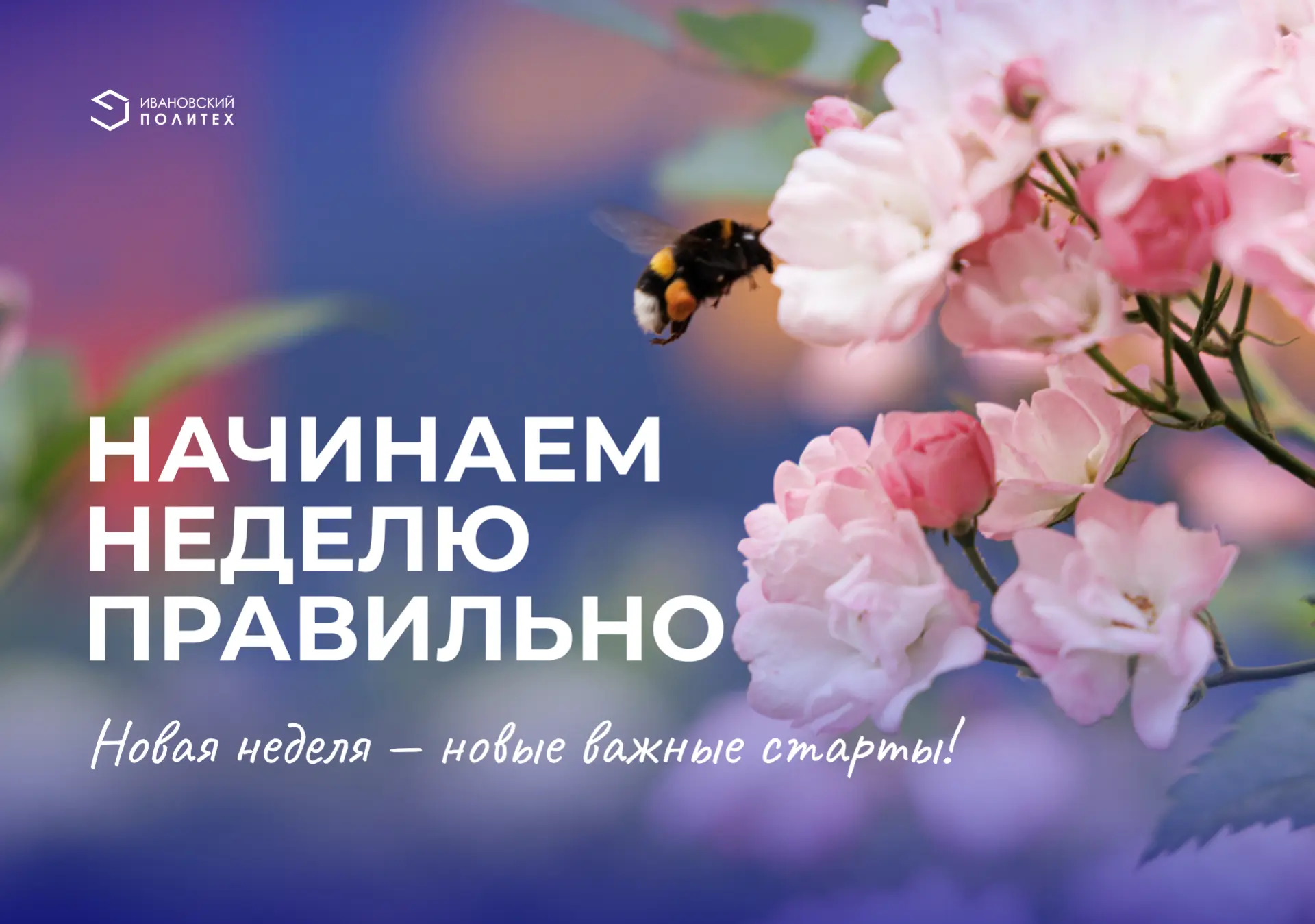 ☀️ Новая неделя — новые важные старты!

📚✨ Понедельник в Политехе — это про движение вперед: у выпу