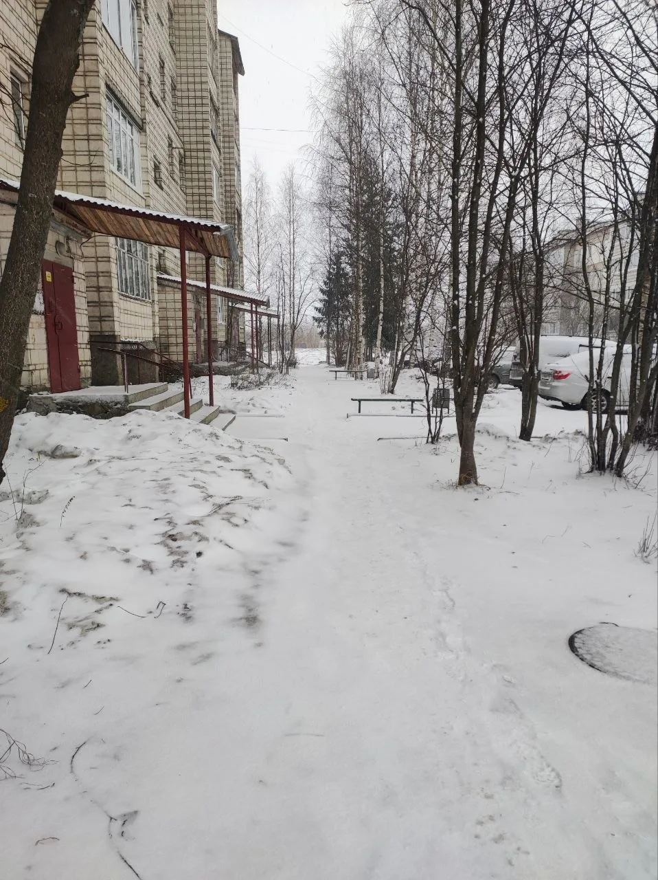 В Республике Коми вернулась зима и резко похолодало. Жители Сыктывкара делятся кадрами,...
