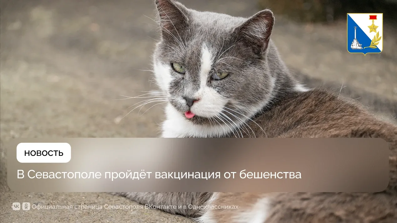 🐾 Госветслужба вакцинировала от бешенства ещё 77 домашних животных — 40 собак и 37 кошек.