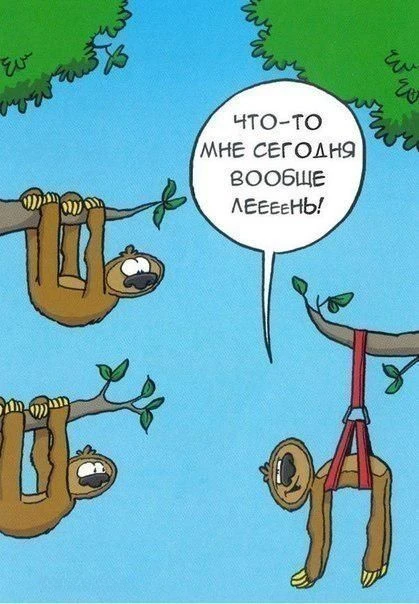 Карикатуры на грани