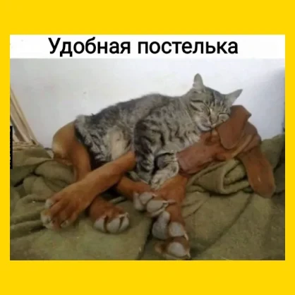Полный Хохотамбл! Подпишись скорее