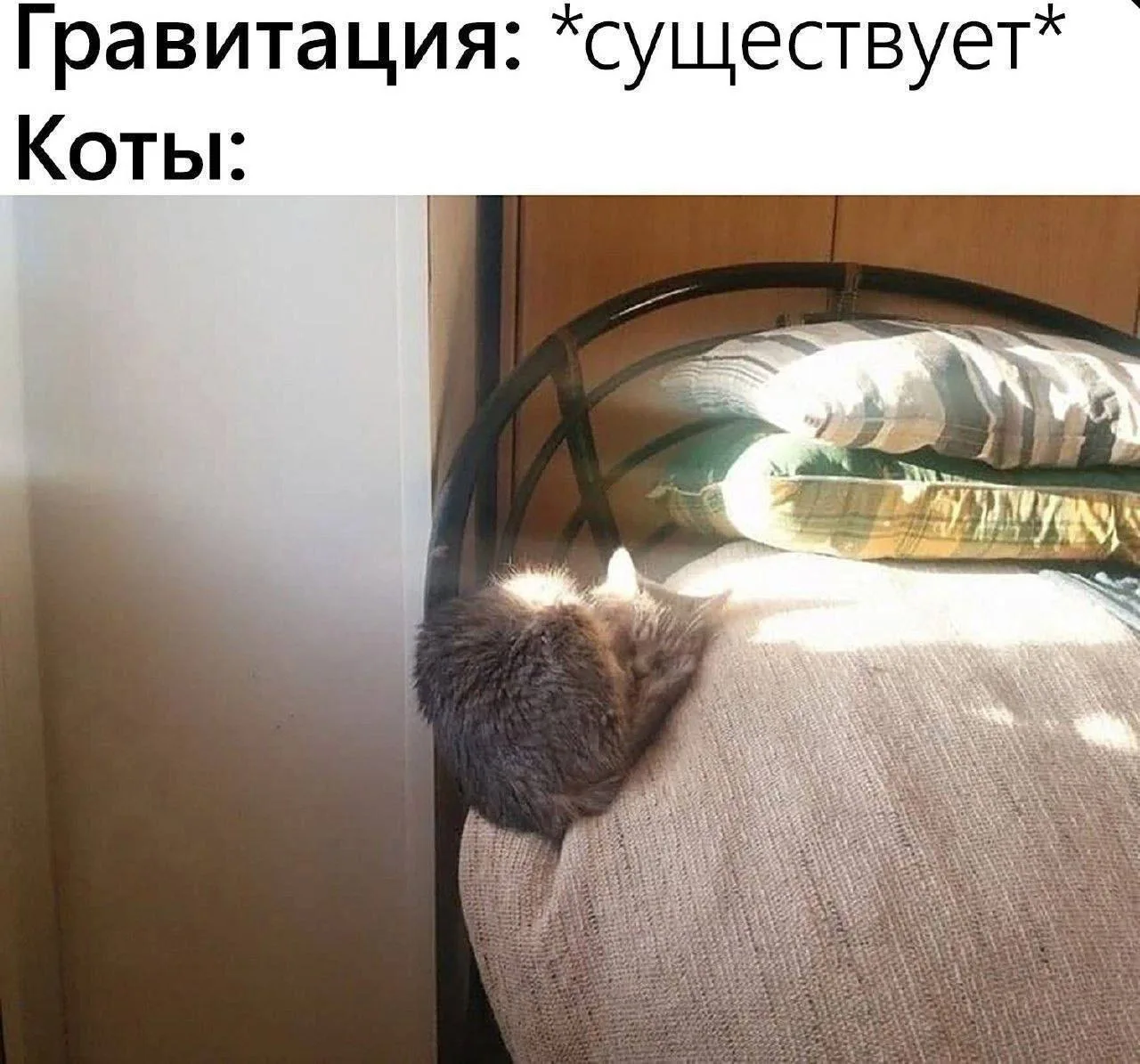 Подпишись на юмор 😂