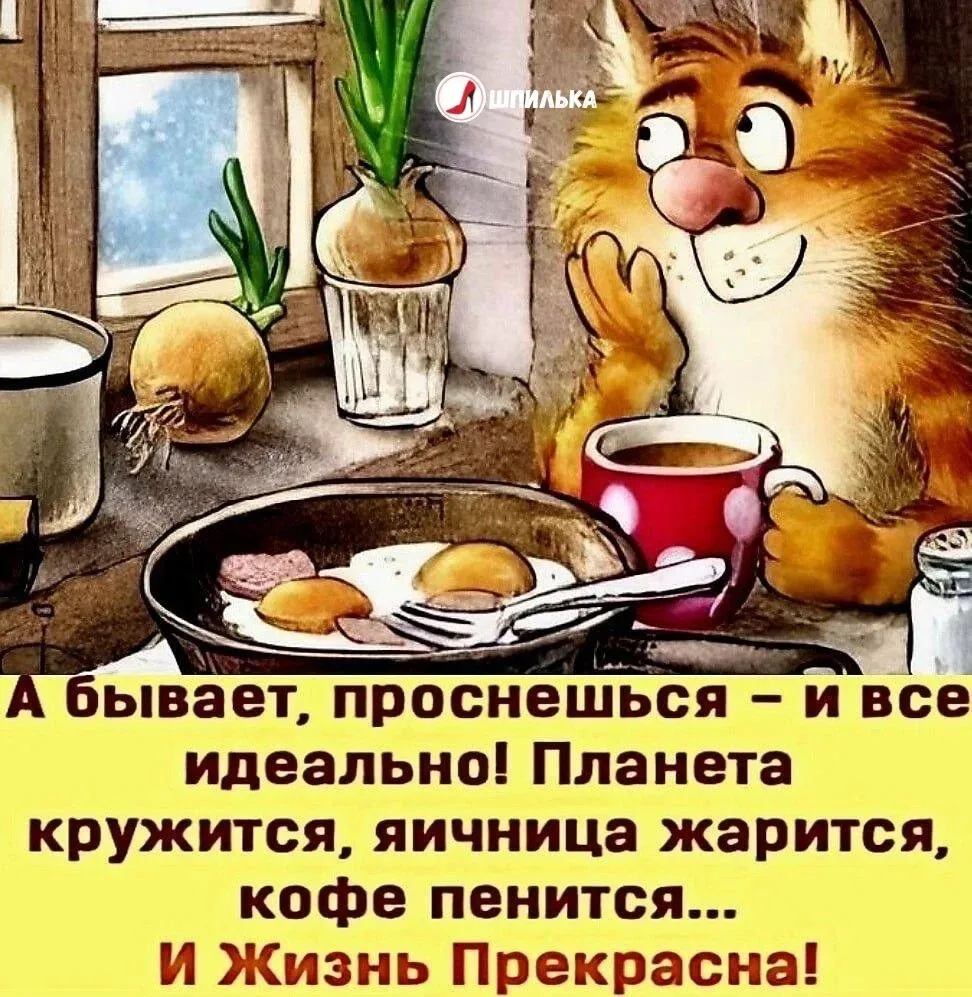 Всем хорошего дня отличного настроения 🤗