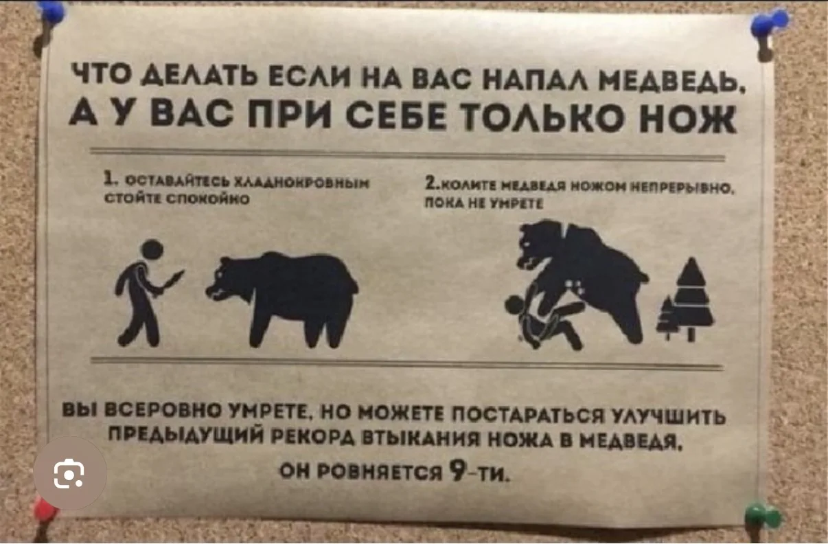 Леденящий душу случай произошел на Алтае. Девушку растерзал и прямо из палатки уволок м...