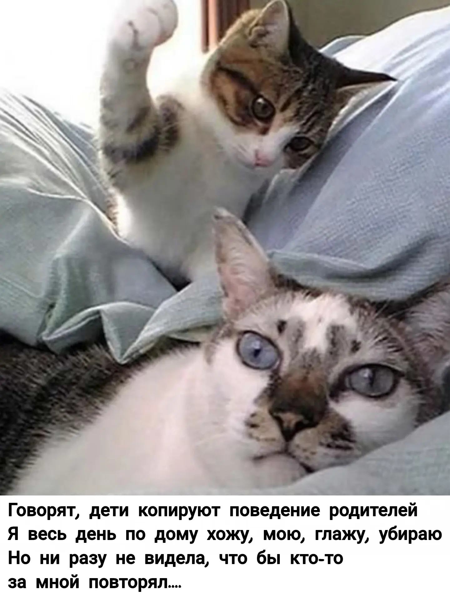 Немного юмора 😉