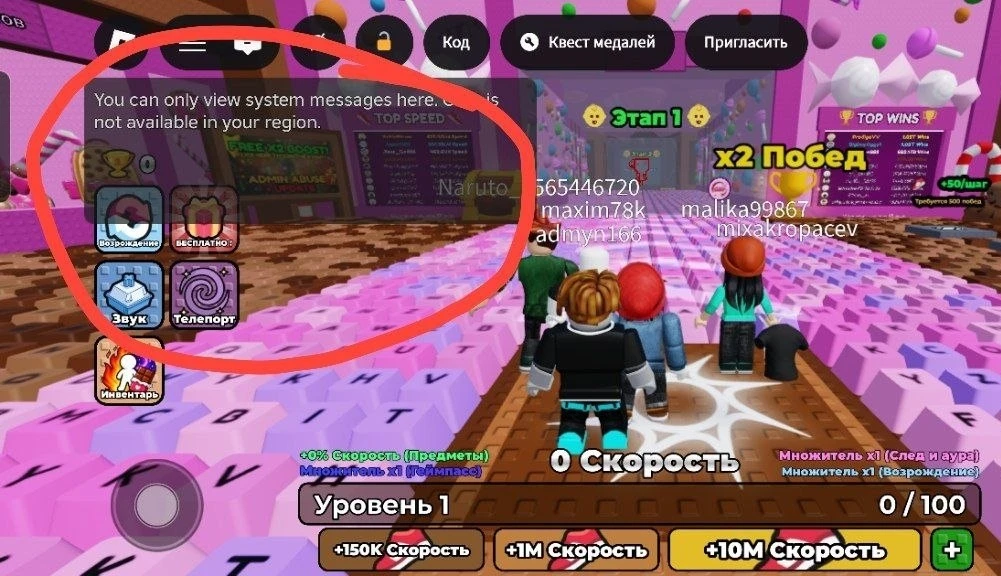 Что не работает после разблокировки Roblox