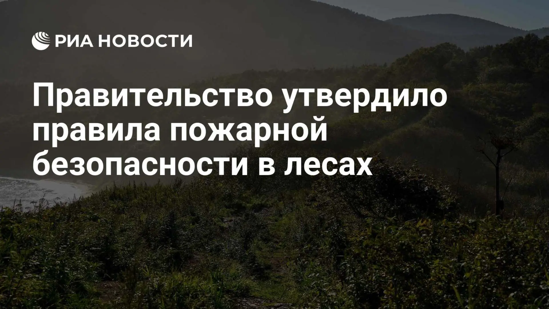 Михаил Мишустин подписал Постановление Правительства РФ от 23 мая 2026 г. № 591, которы...