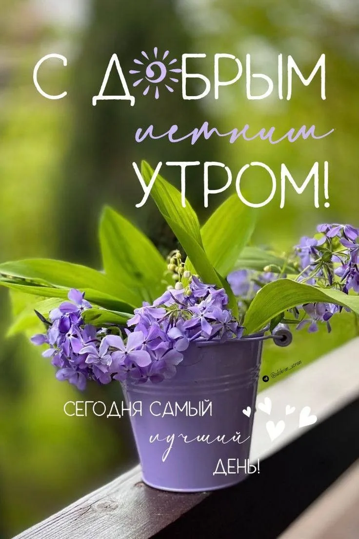 Доброе утро дорогие читатели! Пусть день будет солнечным💫