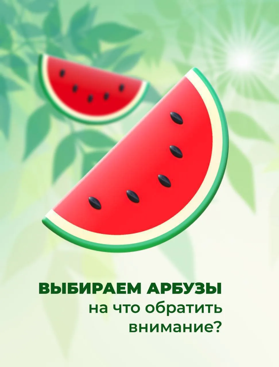 🍉 Сезон арбузов продолжается! Как выбрать спелый и вкусный?