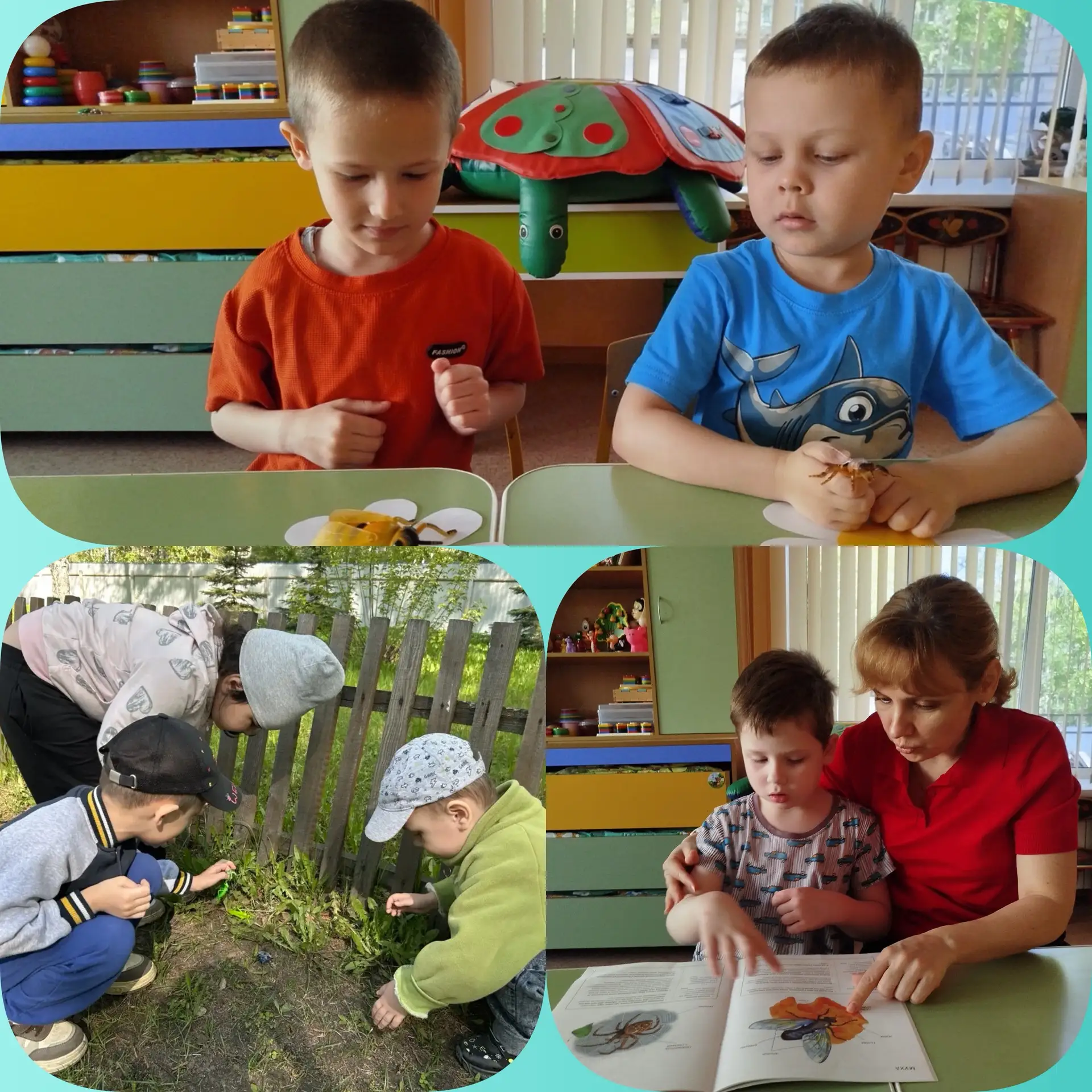 НАШИ БУДНИ☀️
🦋Неделя насекомых в нашем детском саду

✨ В группе «Солнышки» прошла тематическая неде