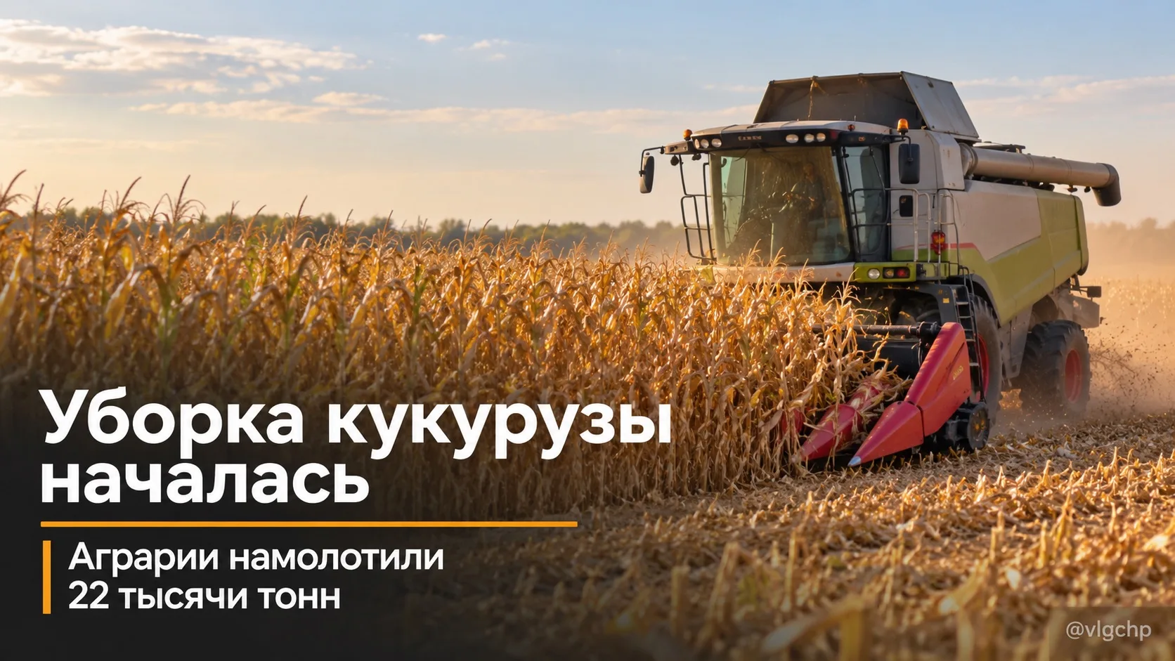 🌽 В Волгоградской области началась уборка кукурузы на зерно.