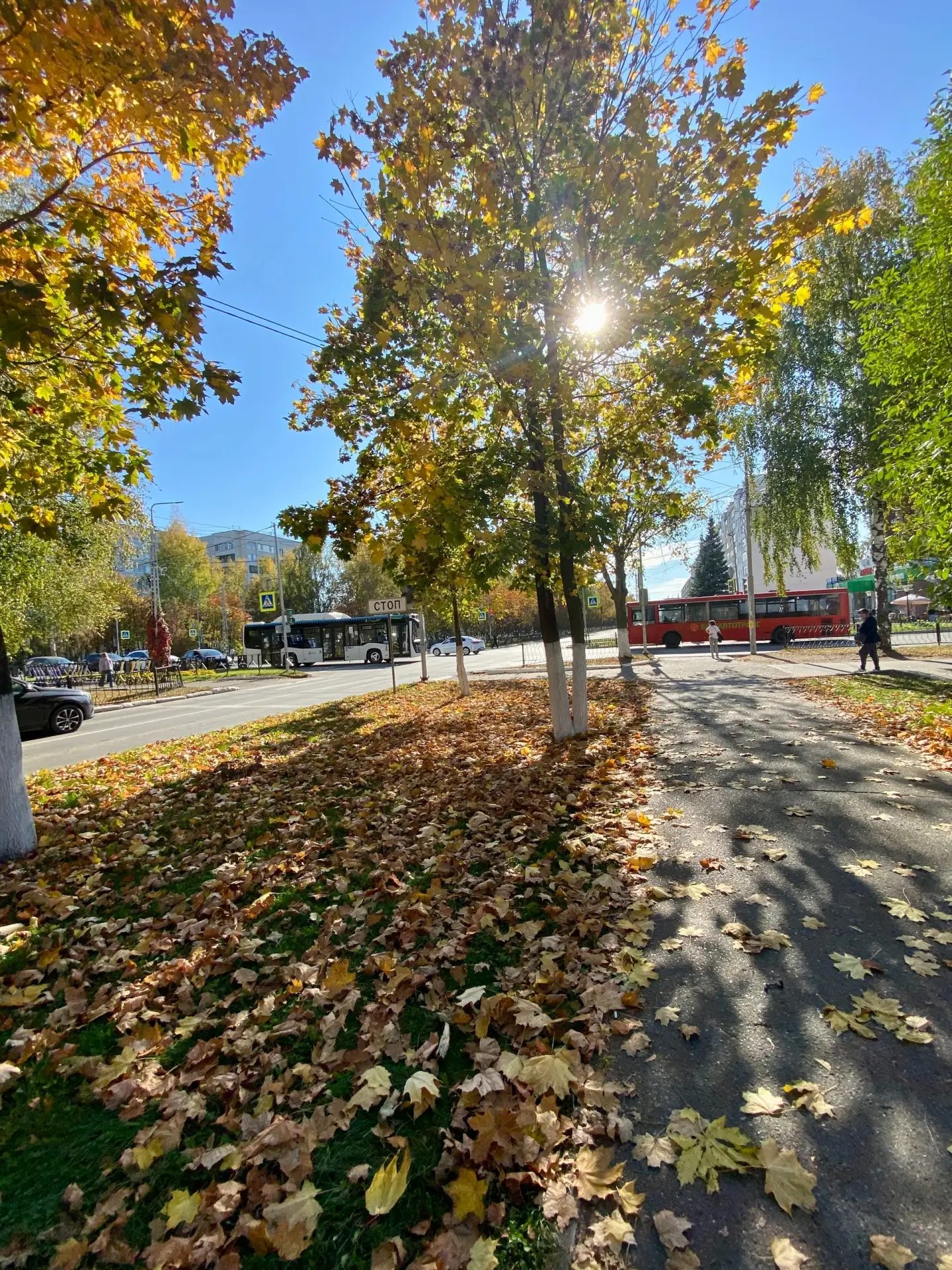 Город в золоте🍁