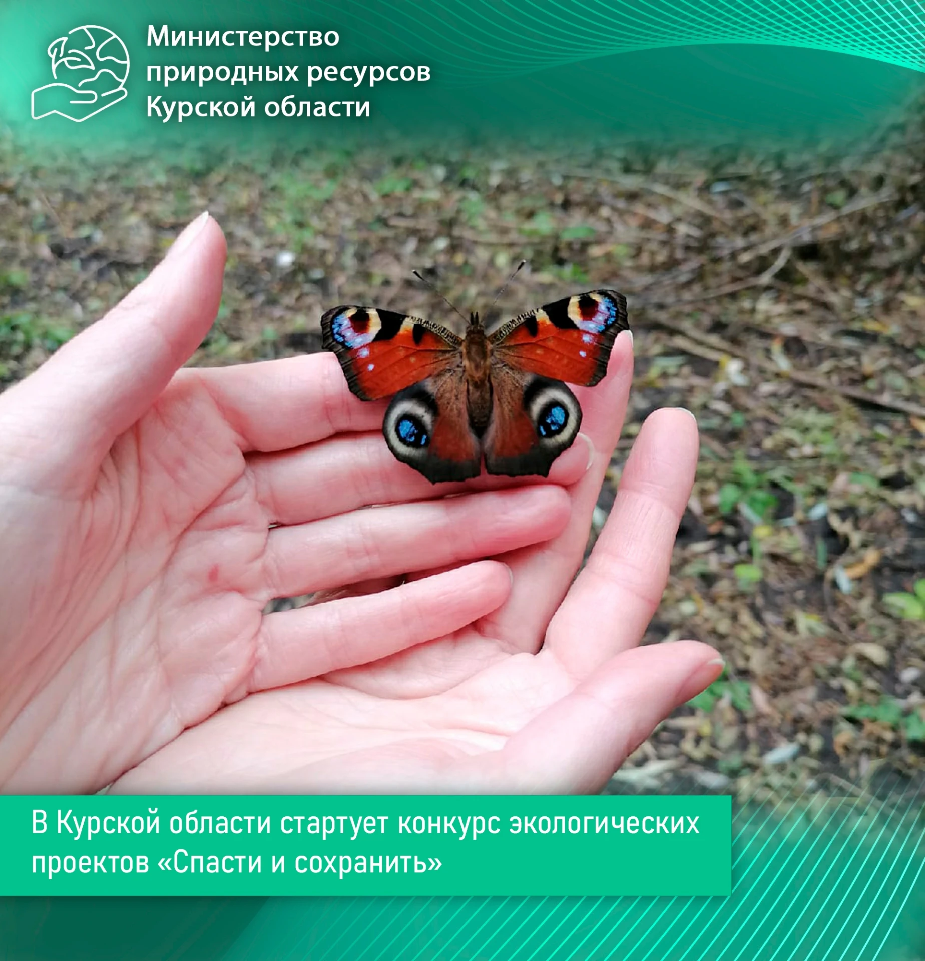 📢Министерство природных ресурсов Курской области приглашает принять участие в ежегодно...