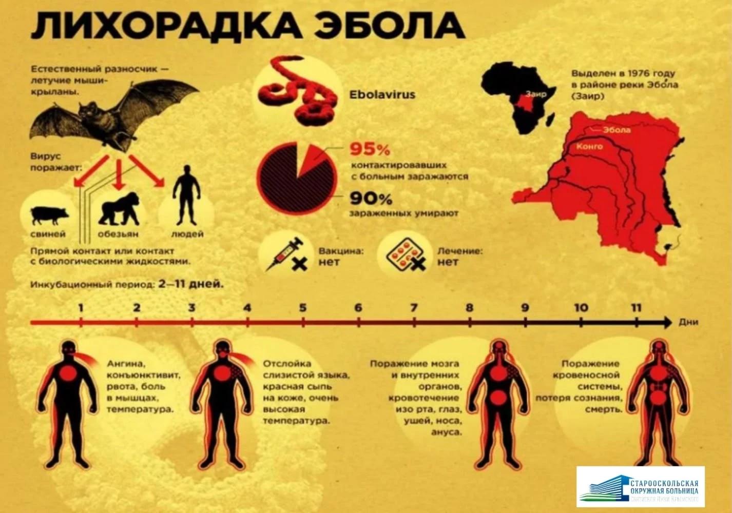 Уважаемые жители Старооскольского городского округа!

 Специалисты  Старооскольской окружной больниц