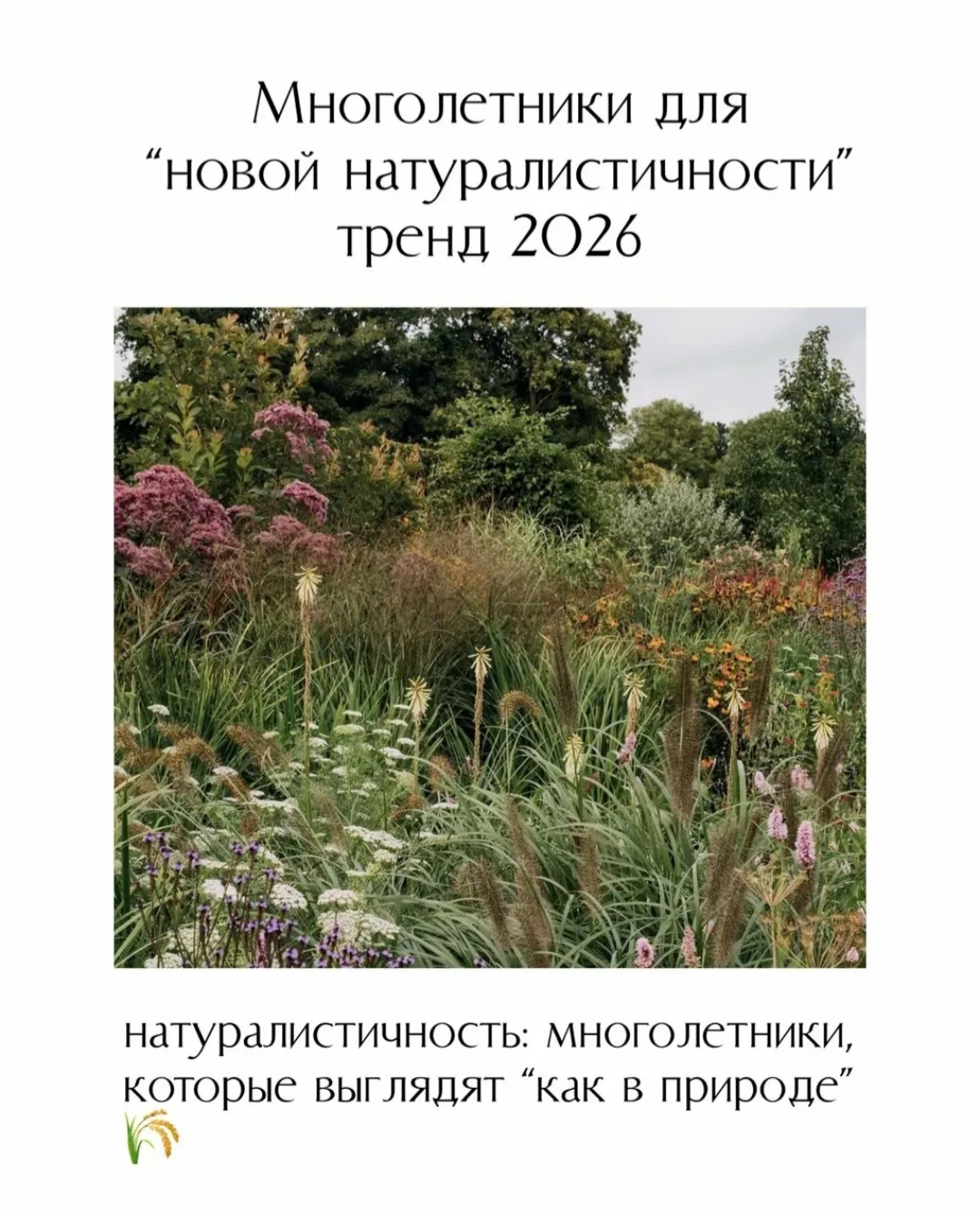 Задать вопрос / сделать заказ: 📱