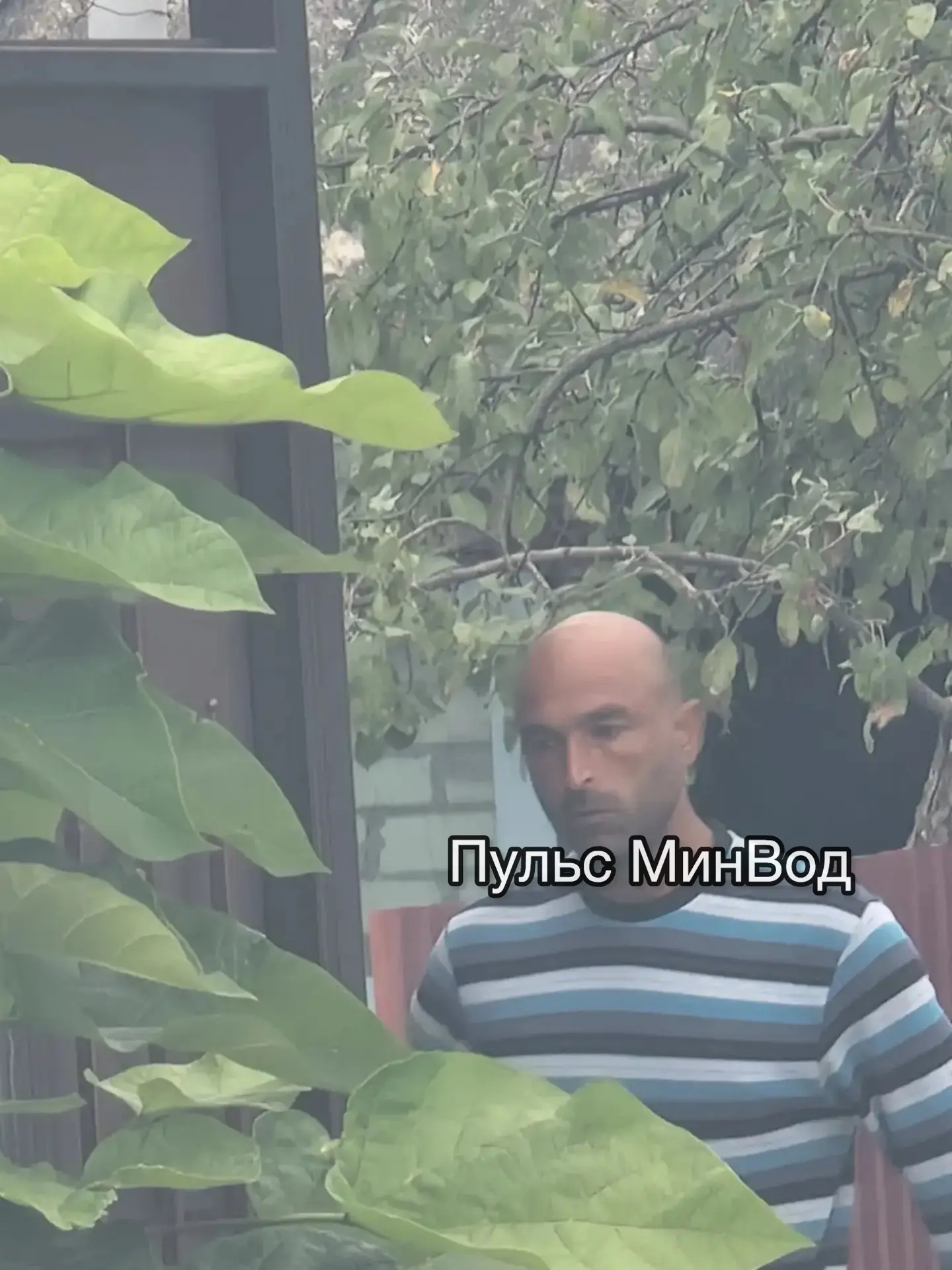 💬 «Вот этот персонаж, ходит стучится в ворота. Пугает детей и женщин пьяный в стельку!!!