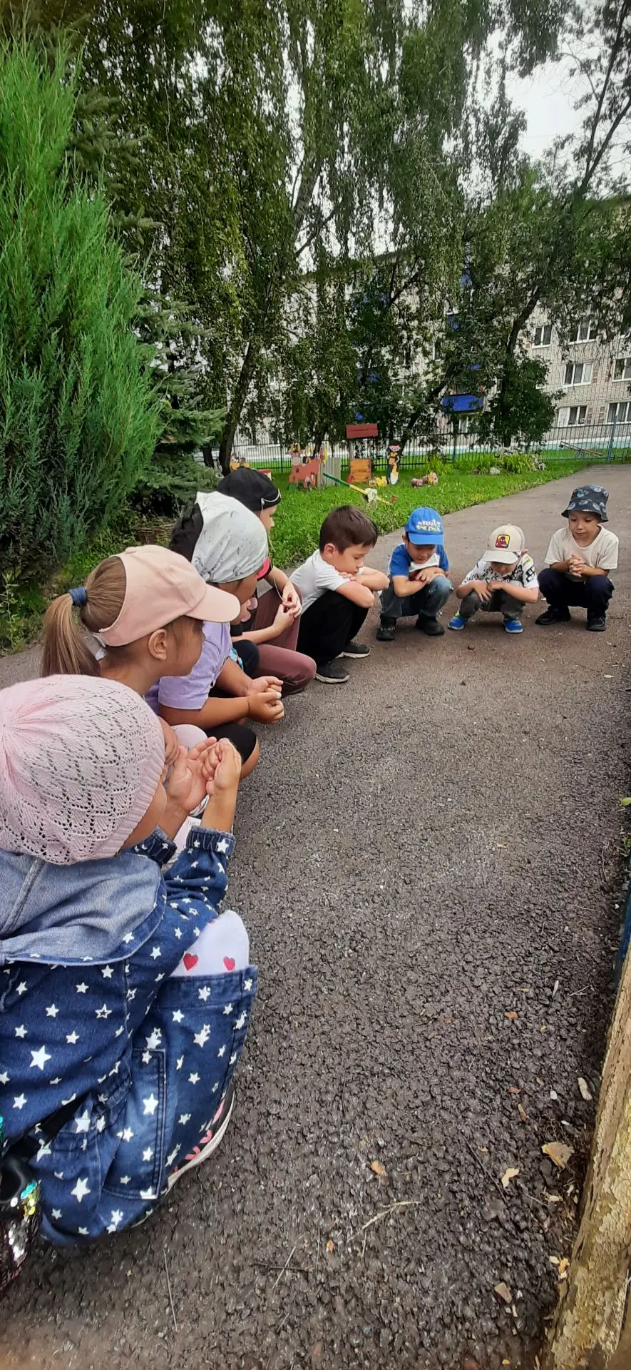Сегодня в нашем детском саду прошло увлекательное занятие по наблюдению за насекомыми. Маленькие исс