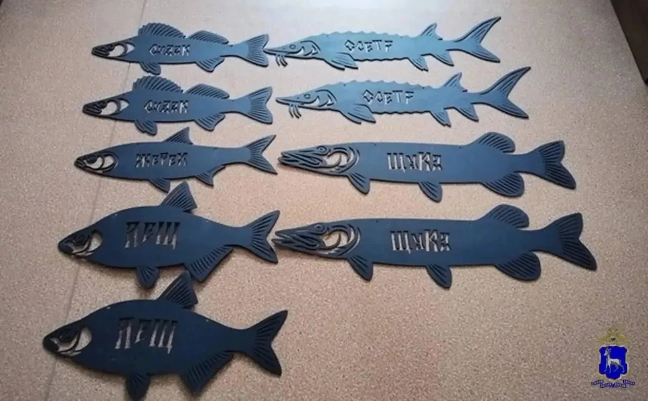 Двоих друзей довели до суда железные рыбы 🐳

Нелепая криминальная история с алкогольным душком прои