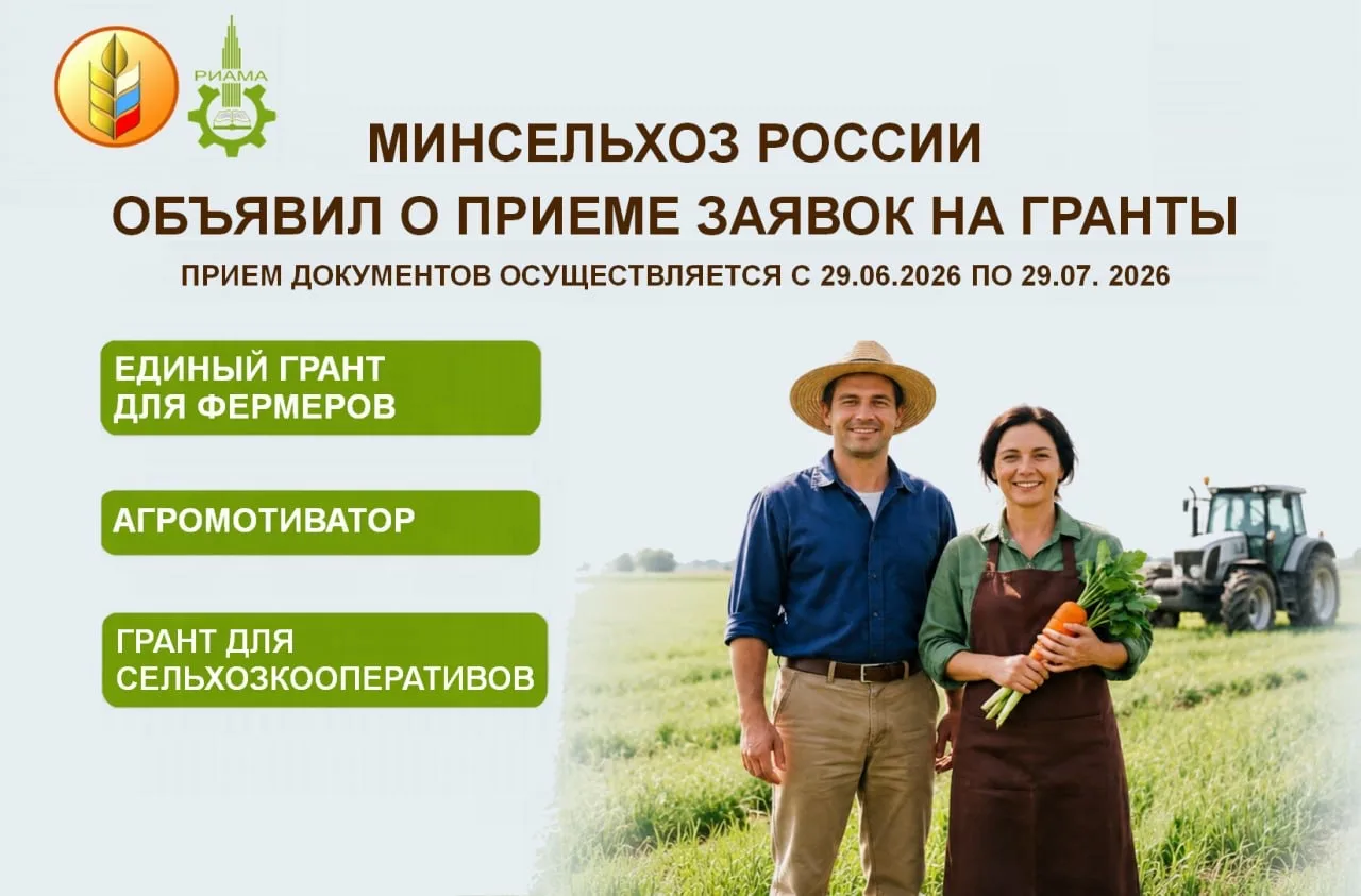 С 29 июня по 29 июля 2026 года открыт приём заявок на гранты. В этом году правила стали проще, а сум