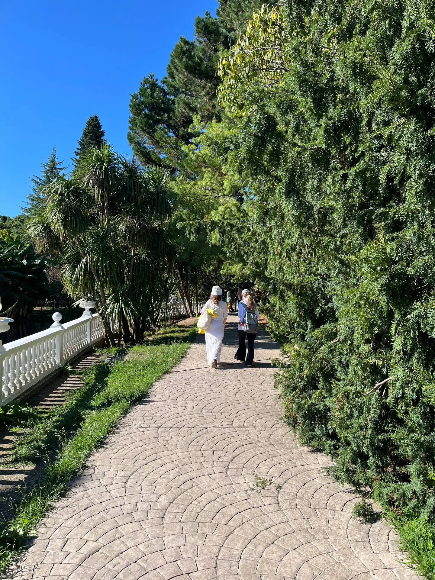 Со 116-летием тебя, наш зелёный райский уголок! 🥰🎂🎉