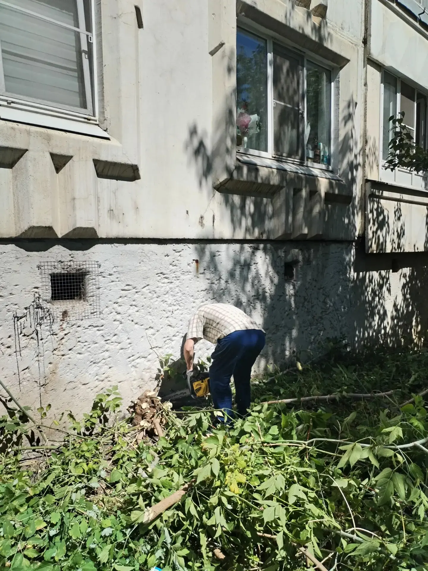 🏡 О выполненных работах по благоустройству 24.06.2026 Городской переулок 17

 - удаление, поросли, 