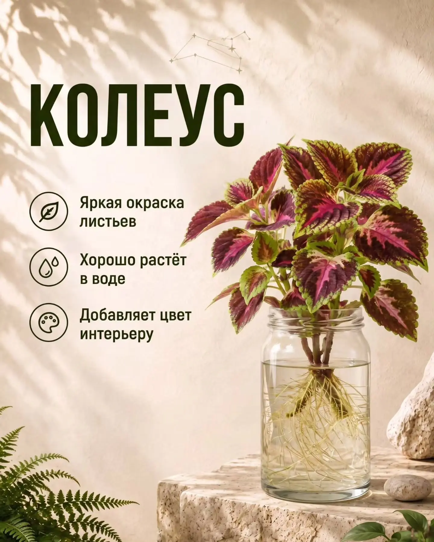 Зелень без грязи и горшков: какие комнатные растения отлично растут прямо в воде 🌿✨