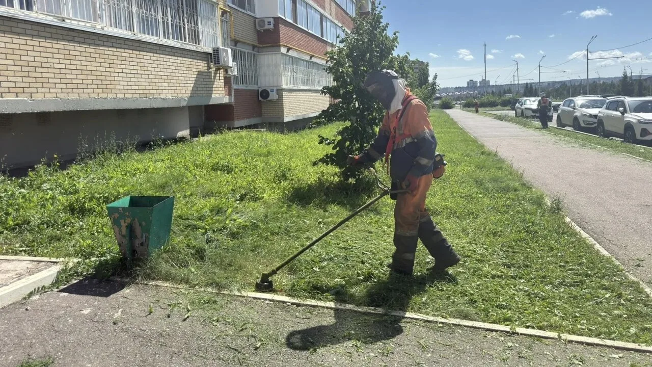 В Альметьевске ведутся плановые работы по покосу травы

На территории Альметьевского муниципального 