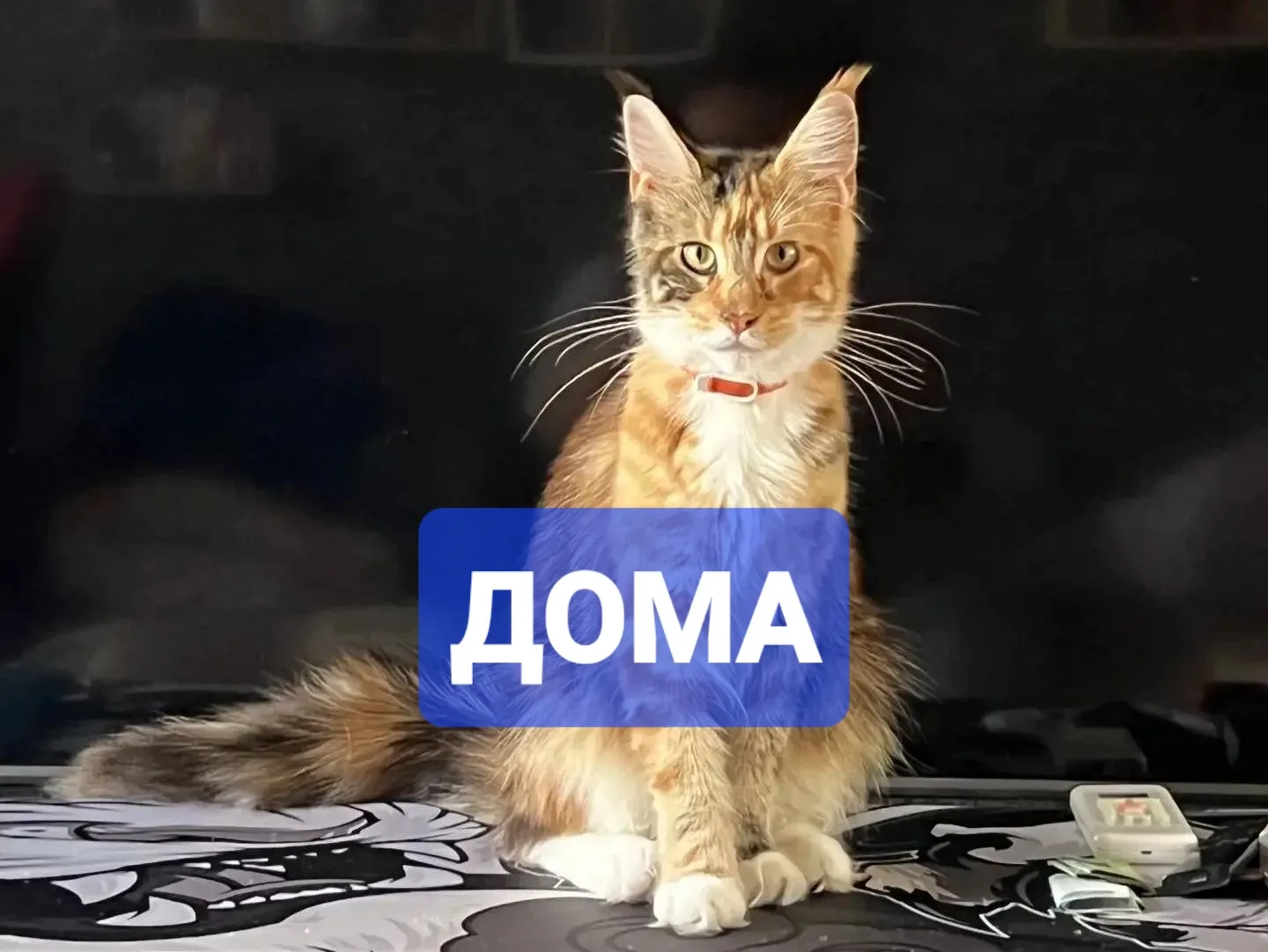 Найдена
