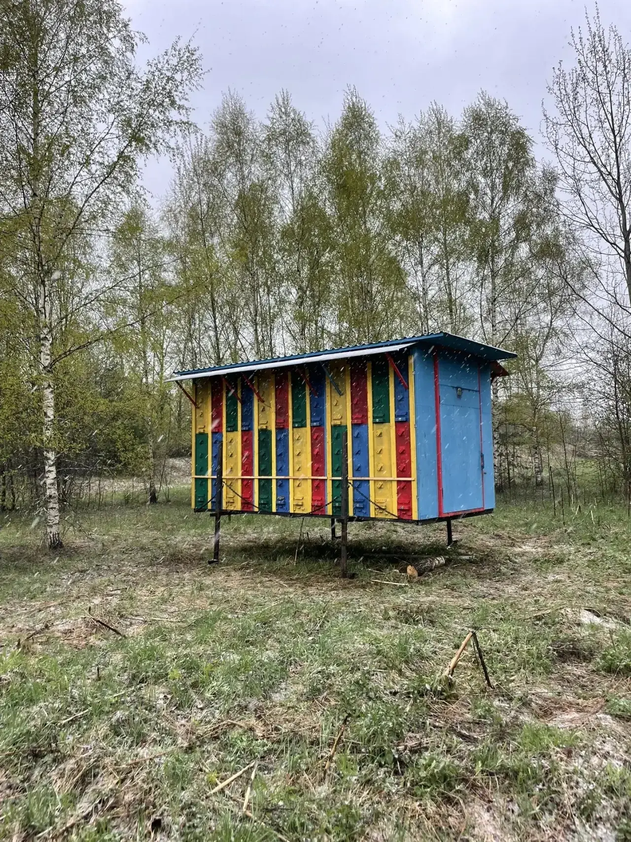 Друзья,