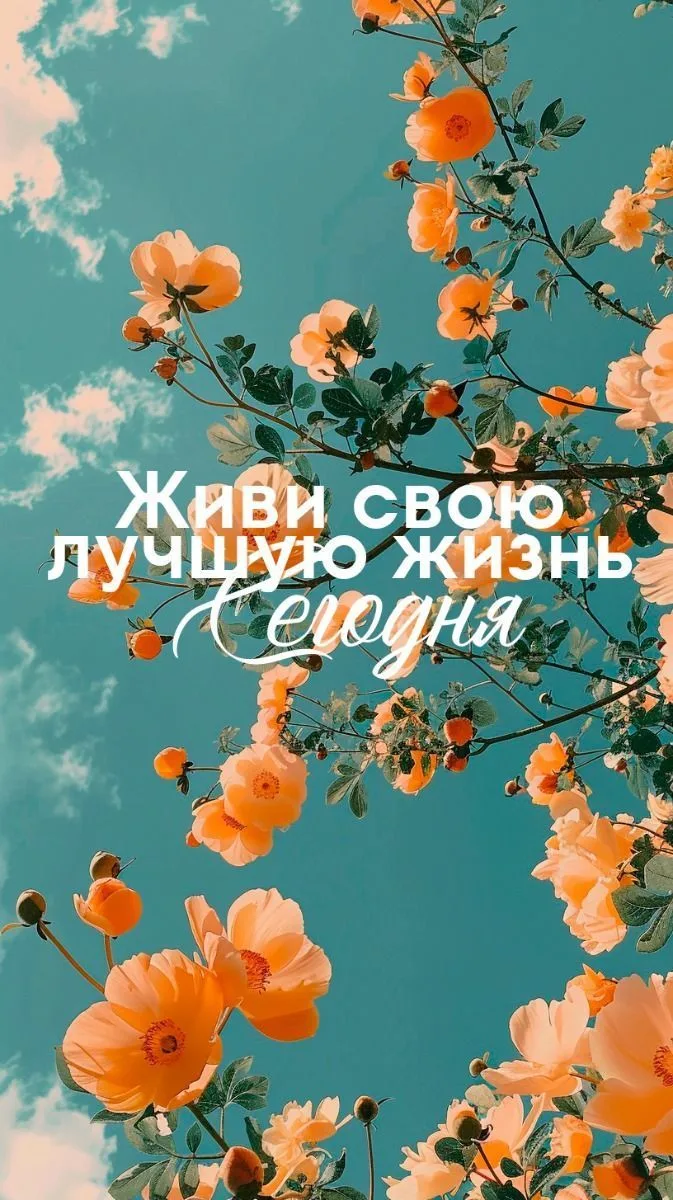 🧡🌸🌿🥳🌸🌿