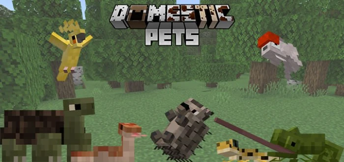🟢  Домашние питомцы [1.21+]

🔍  Великолепный аддон под названием DomesticPets добавит в привычный 