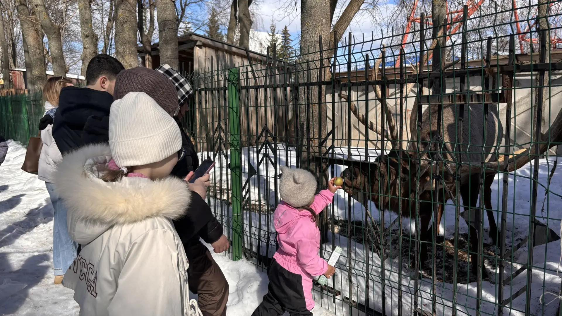 🐫Ученики 5Р класса посетили зооуголок «Ковчег» в Чебоксарском городском детском парке им. космонавта