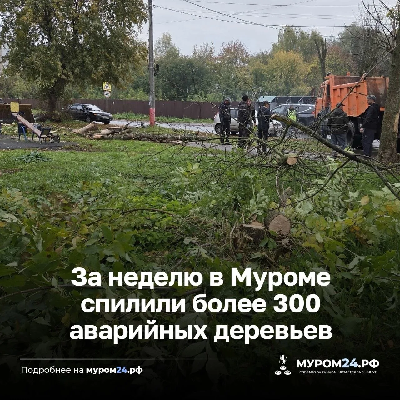 В Муроме продолжают убирать сухостой